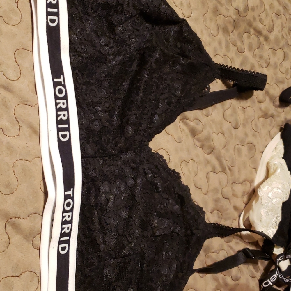 Torrid bralette